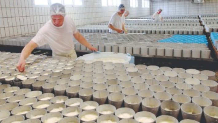 Fabricile de lapte ajung să se vândă la preţ de apartament